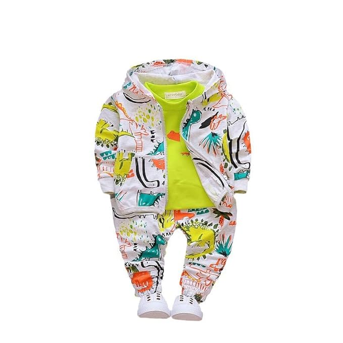 Cotton Printed Hoodie Sweatshirt with Joggers in Clothing Set